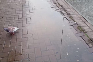 Жители Юрьев-Польского пожаловались на благоустройство у Торговых рядов