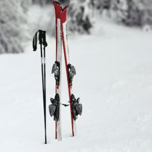 Во владимирском парке «Дружба» появится аллея имени Прокуророва