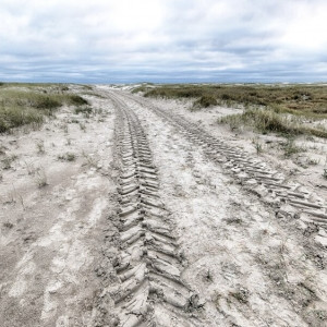 Семья из Киржача обратилась к Путину из-за выданного на бездорожье участка