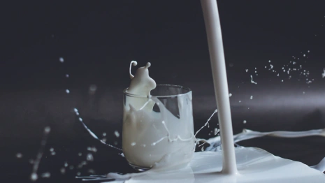 Владимирское молоко признали лучшим в России