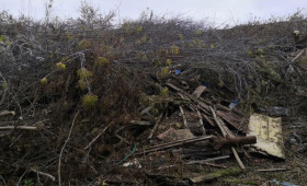 В Коврове содержание громадной свалки обернулось судом