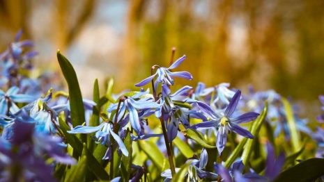 Прогноз погоды во Владимире и области на 21 апреля 