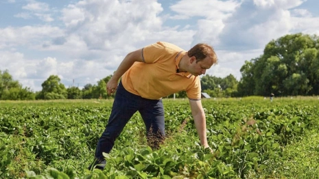 Во Владимирском аграрном колледже появится 20 мест бюджетных мест для очников