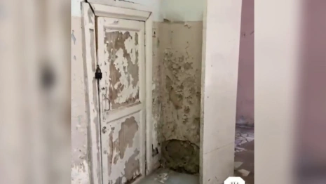Жительница Собинки «прославила» местную больницу с ободранными стенами
