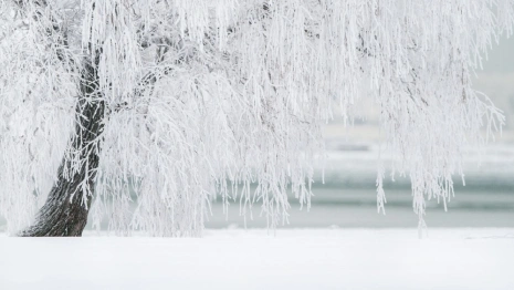 Жителям Владимирской области на рабочей неделе пообещали погодные качели