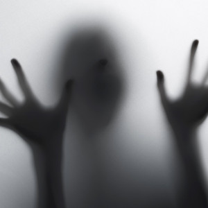 В Петушинском районе нашли расчлененный труп 59-летнего мужчины