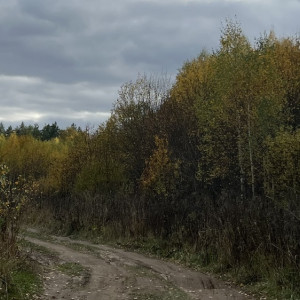 Прогноз погоды во Владимирской области на 17 ноября 2024 года