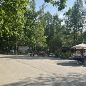 Жители Владимира написали письмо Путину в защиту лесного парка «Дружба» от застройки