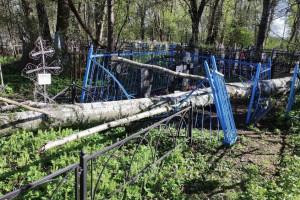 В Юрьев-Польском дерево упало на кладбище и повредило ограды