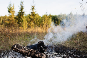 Во Владимирской области спасатели потушили 5 палов сухой травы