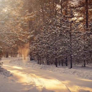 Стало известно, когда улучшится погода во Владимирской области