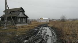 Чиновники попали под суд за бездорожье в деревне под Меленками