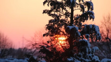 Во Владимирской области в выходные установится слабый мороз