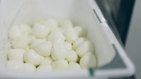 Во Владимирской области нашли качественную моцареллу