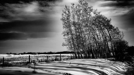 Жителей Владимира предупредили о шквалистом ветре 