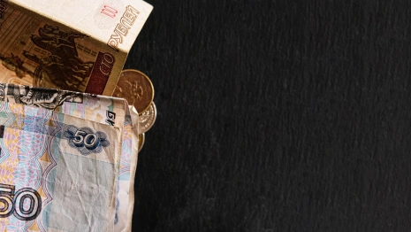 Владимирские семьи получили единое пособие на 245 млн рублей