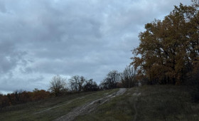 Прогноз погоды во Владимирской области на 19 ноября 2025 года