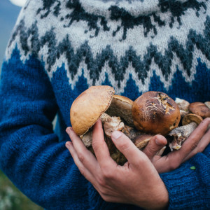 Во Владимире краснокнижный головач выставили на продажу за 4 млн рублей