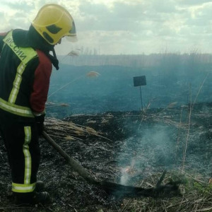 Во Владимире подожгли траву у итальянского завода Marcegaglia