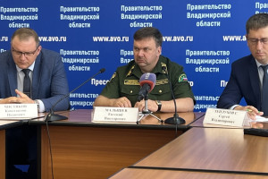 На обработку лесов от гусениц шелкопряда во Владимирской области потратят 6,7 млн рублей