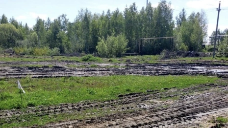 Многодетной семье из Меленок выдали участок на бездорожье