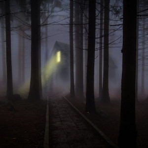 Ночной лес, ретротроллейбус и усадьба. Как пройдет «Ночь музеев» во Владимирской области