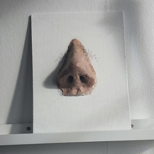 В Вязниках 20-летний парень откусил нос мужчине в ходе ссоры