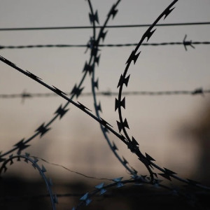 Во Владимирской области экс-сотрудников тюрьмы обвинили в присвоении стройматериалов