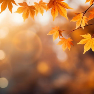 Прогноз погоды во Владимире и области на 11 октября 2025 года