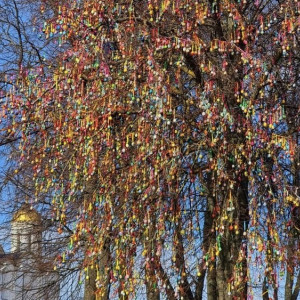 Во Владимире к маю снова «расцветет» пасхальное дерево