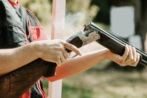 Браконьера из Коврова будут судить за убийство двух лосей