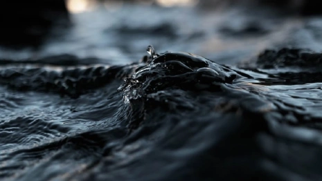 Во Владимирской области прекратили поиски пропавшего полтора года назад мужчины