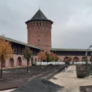 В Суздале в Спасо-Евфимиевом монастыре высадят 13 лип 