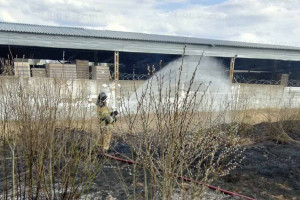 Во Владимирской области спасатели потушили 6 палов травы 