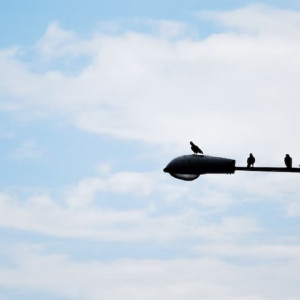 В 19 владимирских селах на дорогах установят фонари 