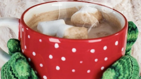 Ледяной апокалипсис во Владимирской области. Как согреться и избежать обморожения в -34