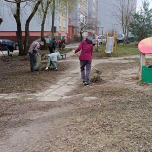 Во Владимире проходит общегородской субботник