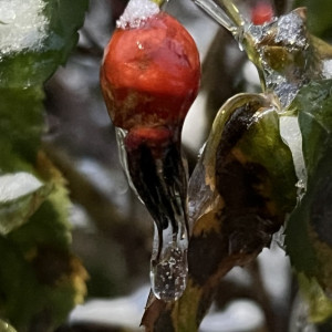 Во Владимире начался ледяной дождь