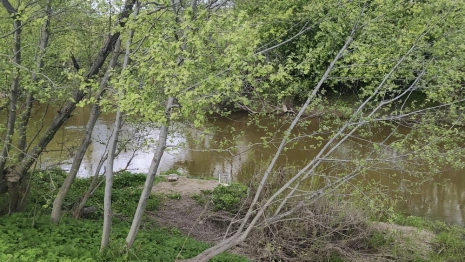 Утонувшему в Колокше под Собинкой рыбаку было 66 лет