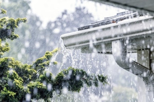 Во Владимирскую область придут ливень с грозой и ураган