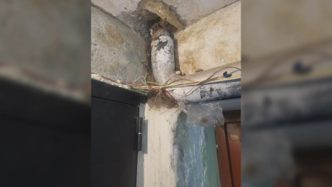 В Вязниках ЖЭК игнорировала проблемы в многоквартирном доме