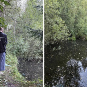 В Коврове утонул 4-летний мальчик