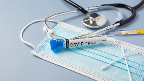 Во Владимирской области подтвердили 522 случаев ковида