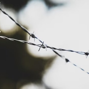 Во Владимирской области 22-летний выходец из Центральной Азии призывал к терроризму