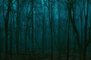 Пропавшего в начале июня во Владимирской области пенсионера нашли мертвым 