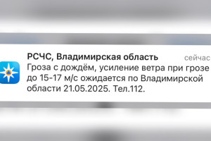 МЧС предупредило жителей Владимирской области о дожде с грозой и сильном ветре