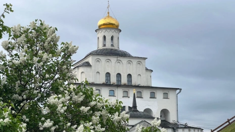 Через Владимирскую область пройдет военно-исторический поход «Александрова дорога»