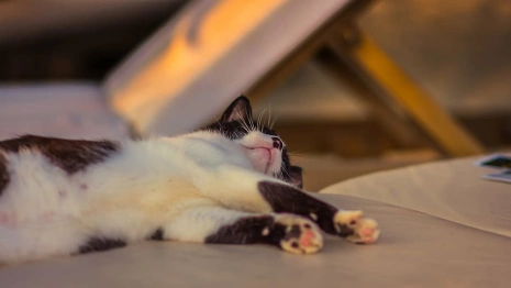 Дозорный день: что можно и нельзя делать 27 июля