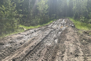 В Юрьев-Польском арендатор леса разбил и забыл восстановить дорогу