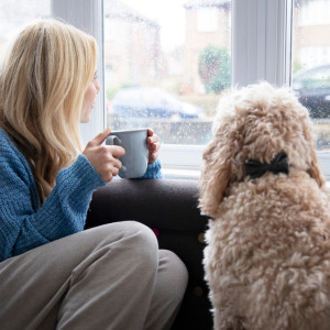 Неделя во Владимирской области начнется с дождей